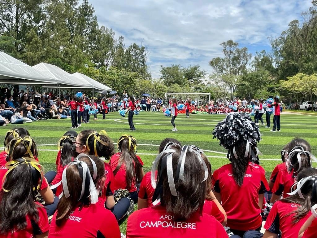 Contáctanos en APDE Campoalegre